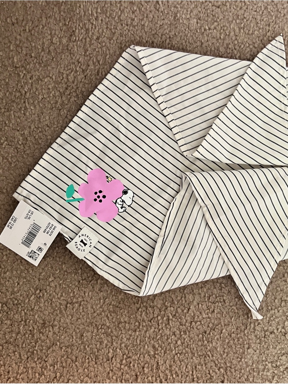 American Eagle bandana